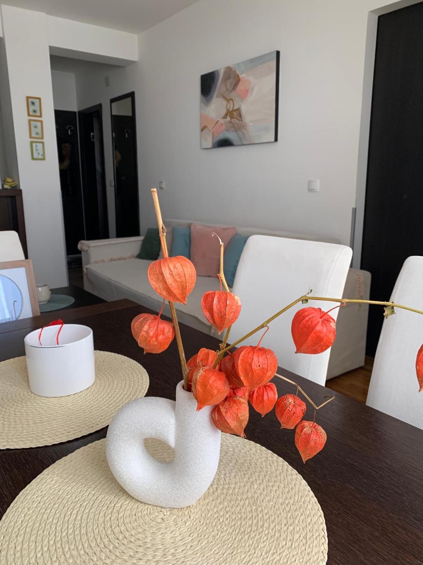 Beli Apartman U Zlatiborskim Konacima Bele Vode Bb Esterno foto